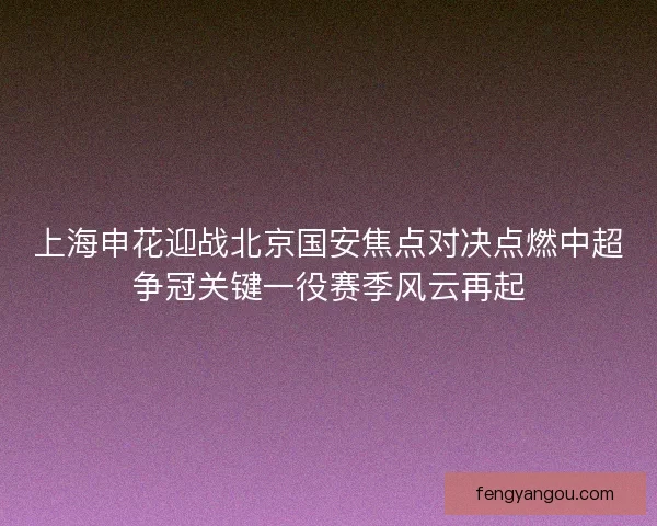 上海申花迎战北京国安焦点对决点燃中超争冠关键一役赛季风云再起